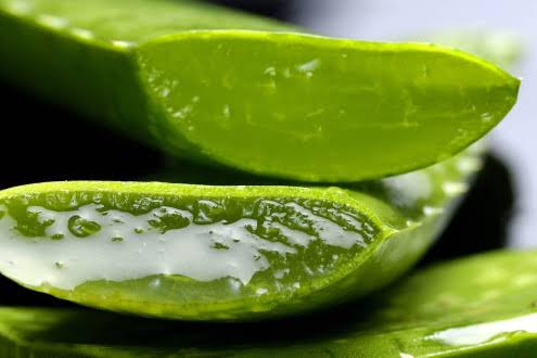 Aloe Vera Jel Güneş Yanığı Söndürücüsü Nasıl? Faydaları, Kullanımı ve Etkileri